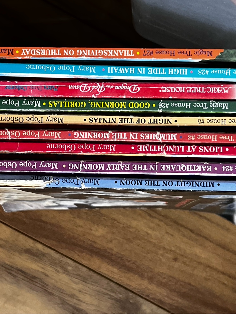 Magic Tree House - Picture 3 of 3